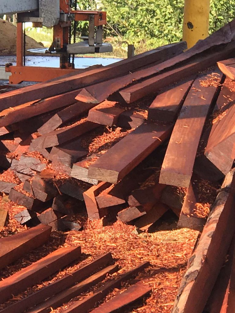 Timber 1