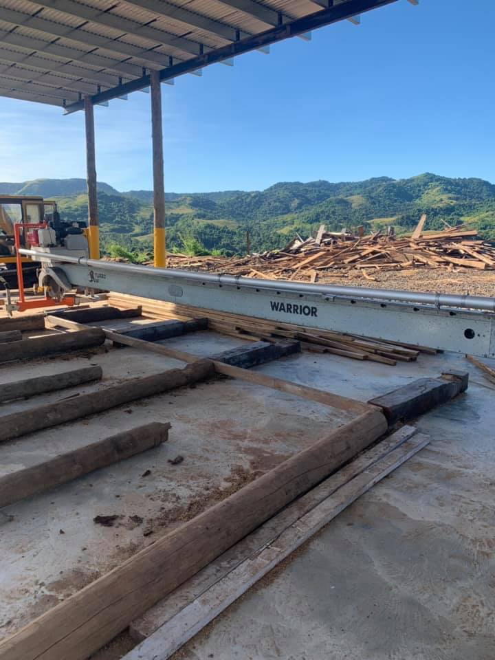 Timber7